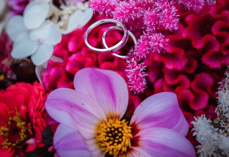 To ringer liggende på rosa blomster