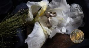 To gifteringer liggende på en hvit liljeblomst på sort bakgrunn
