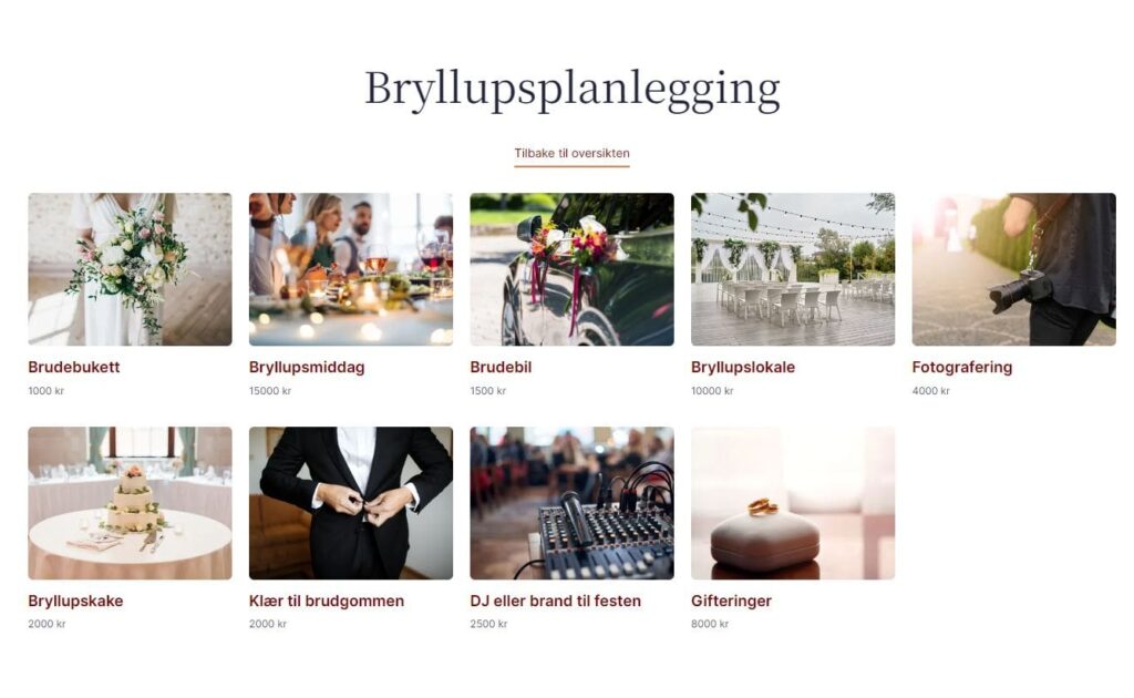 Utsnitt av nettsiden til Stor Stas App